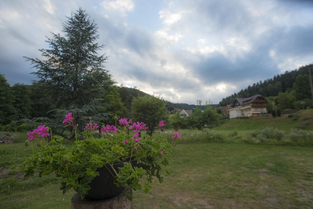 Hotel Enz Residenz Enzklösterle Esterno foto